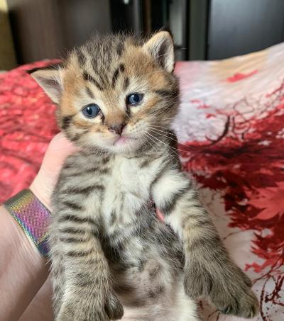 1 месяц